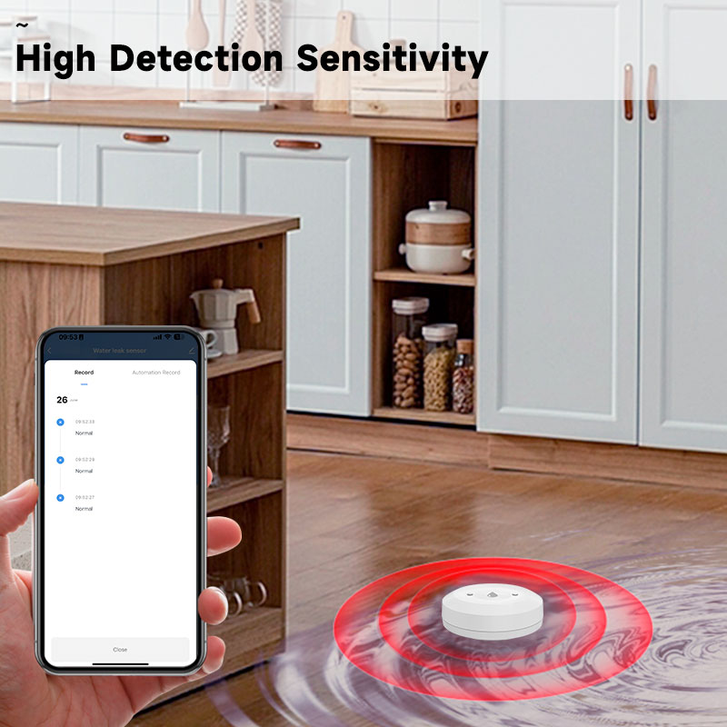 Tuya zigbee2mqtt sensor de ime - Water Alarm Sensor avaliação e preço
